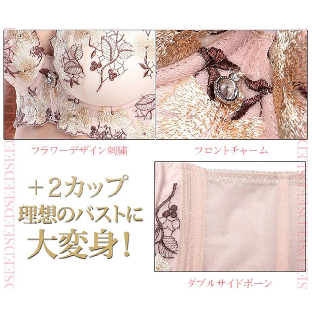 盛りブラ　　刺繍ブラ　ショーツセット レディースの下着/アンダーウェア(ブラ&ショーツセット)の商品写真