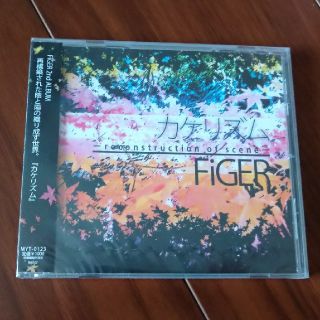 京都インディーズバンド FiGER 1st 2nd CD2枚組セット(ポップス/ロック(邦楽))