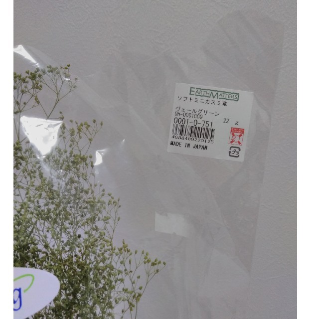 ソフトミニカスミ草　ヴェールグリーン ハンドメイドのフラワー/ガーデン(プリザーブドフラワー)の商品写真