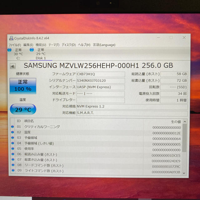 Samsung SSD PM961 M.2 NVMe 256GB使用時間1h