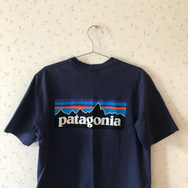 patagonia(パタゴニア)のPatagonia 正規品　ティシャツ レディースのトップス(Tシャツ(半袖/袖なし))の商品写真