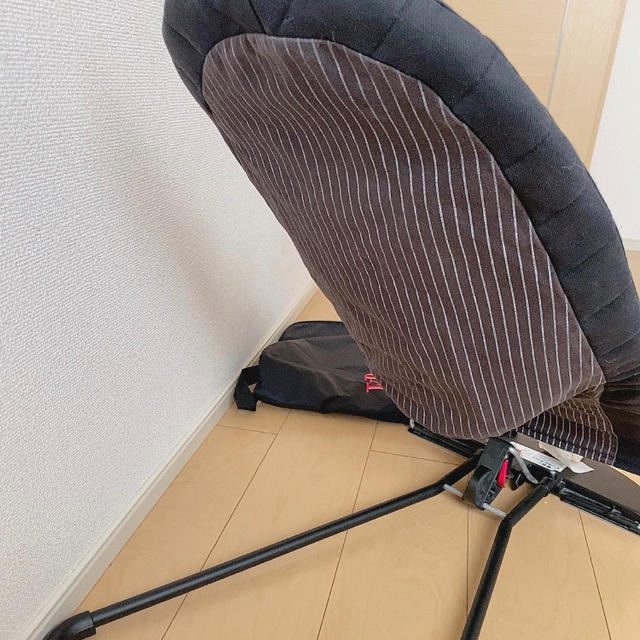 BABYBJORN(ベビービョルン)の専用ページ　キャリーバックのみ キッズ/ベビー/マタニティの寝具/家具(その他)の商品写真