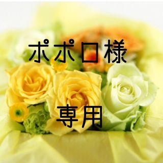 ポポロ様専用  お米　令和元年　愛媛県産ヒノヒカリ　白米　5㎏(米/穀物)