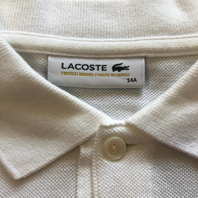 LACOSTE(ラコステ)のラコステ ポロシャツ 白 日本製 レディースのトップス(ポロシャツ)の商品写真