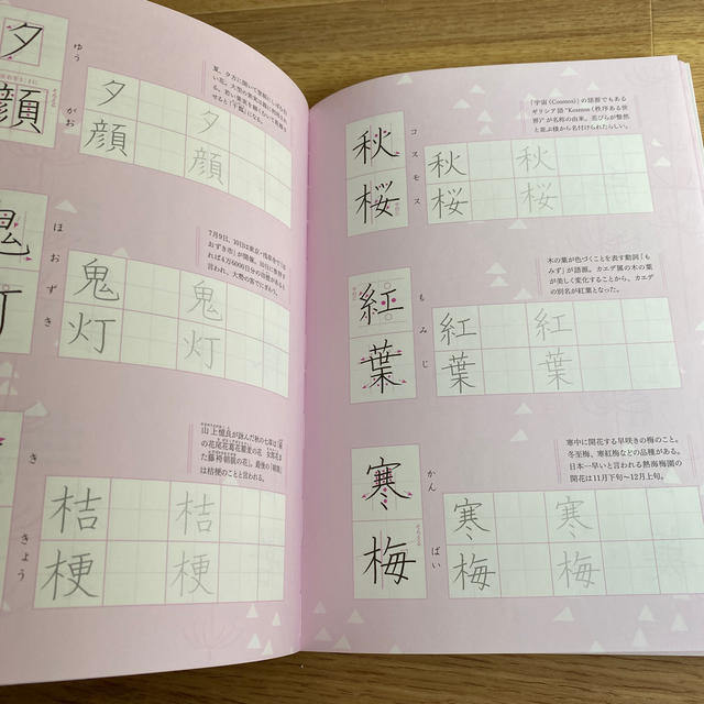 美文字ときめき練習帳 書いて味わう日本の言葉 エンタメ/ホビーの本(住まい/暮らし/子育て)の商品写真