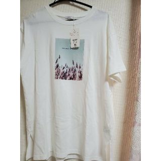 ローリーズファーム(LOWRYS FARM)の新品 ローリーズ フォトプリントTシャツ F  おまけTシャツ1枚(Tシャツ(半袖/袖なし))