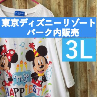 デイジー(Daisy)のジン様専用  東京ディズニーリゾートパーク内販売  3L ロンT(Tシャツ(半袖/袖なし))