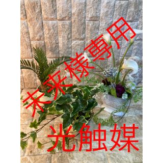 光触媒 人工観葉植物 抗菌消臭 ウォールグリーン (置物)