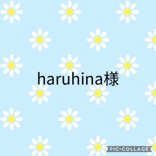 haruhina様　専用　マスクカバー (その他)