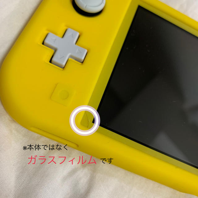 【本日まで】Nintendo Switch Lite + あつまれどうぶつの森