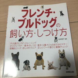 フレンチブルドッグ飼い方しつけ方(犬)