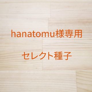 hanatomu様専用　セレクト種子　6袋(野菜)