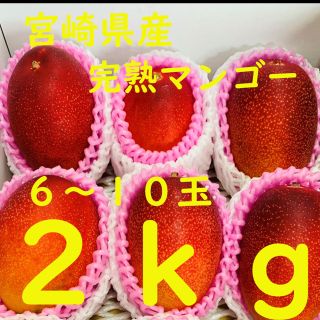 完熟マンゴー 2kg 宮崎産 農協品 6玉〜10玉 ギフト 市場直送　安い(フルーツ)