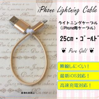 iPhone充電用 25cｍ ナイロン ケーブル(その他)