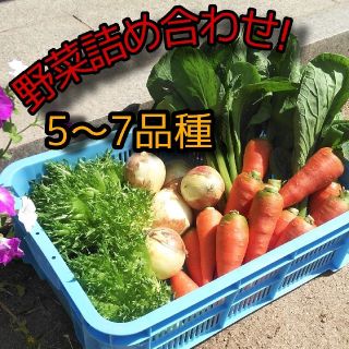 野菜詰め合わせ　5〜7品種　野菜セット　お試し野菜セット(野菜)