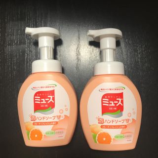 アースセイヤク(アース製薬)の薬用石鹸　ミューズ　泡ハンドソープ2本(ボディソープ/石鹸)