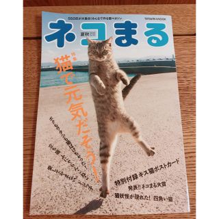 ネコまる Ｖｏｌ．４０（２０２０　夏秋号(住まい/暮らし/子育て)