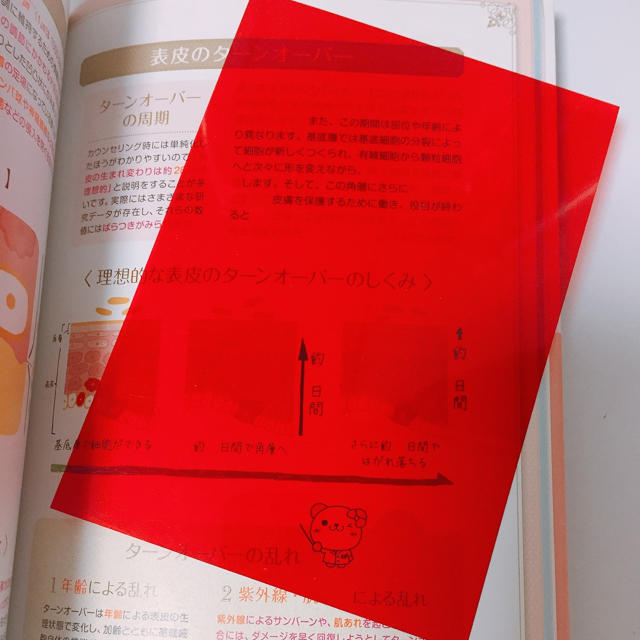主婦と生活社(シュフトセイカツシャ)の日本化粧品検定 2級 3級 テキスト エンタメ/ホビーの本(資格/検定)の商品写真