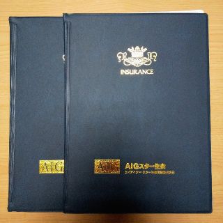 ★AIGスター生命  証券入れ  ファイル 書類ケース ２セット！       (ファイル/バインダー)