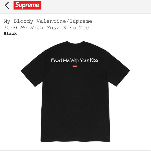 Supreme(シュプリーム)の新品 本物 supreme tシャツ パーカー キャップ スニーカー bag新作 メンズのトップス(Tシャツ/カットソー(半袖/袖なし))の商品写真