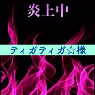 ティガティガ☆様専用✩⋆*॰¨̮⋆｡˚➕速達✈(その他)