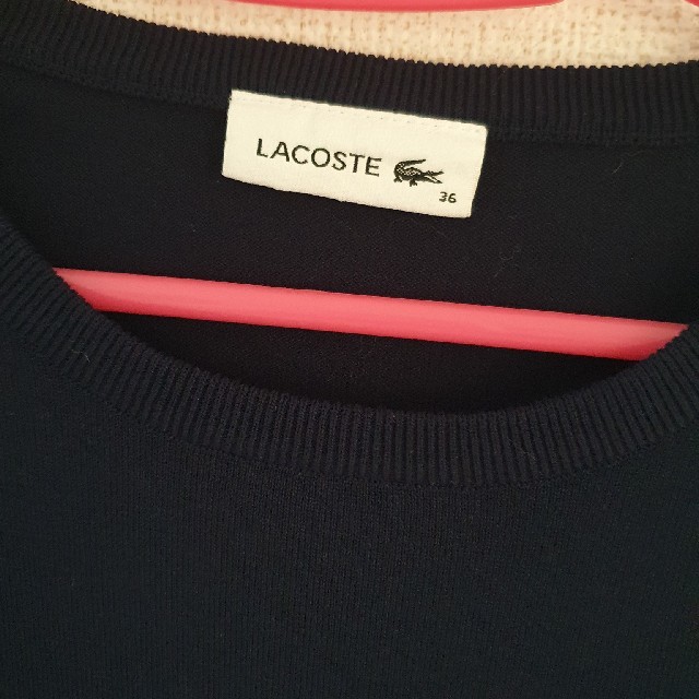 LACOSTE(ラコステ)のLACOSTE　サマーニット レディースのトップス(ニット/セーター)の商品写真