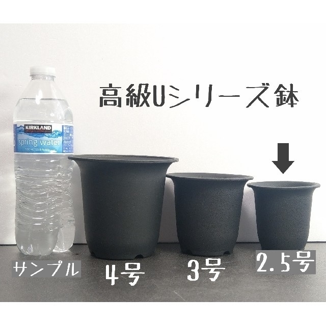 ◎10個◎ 高級 プラ鉢 2.5号 U-25 丸鉢 ミニ鉢 黒 ハンドメイドのフラワー/ガーデン(その他)の商品写真