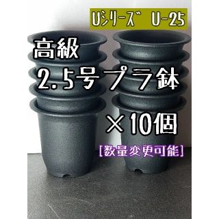 ◎10個◎ 高級 プラ鉢 2.5号 U-25 丸鉢 ミニ鉢 黒(その他)