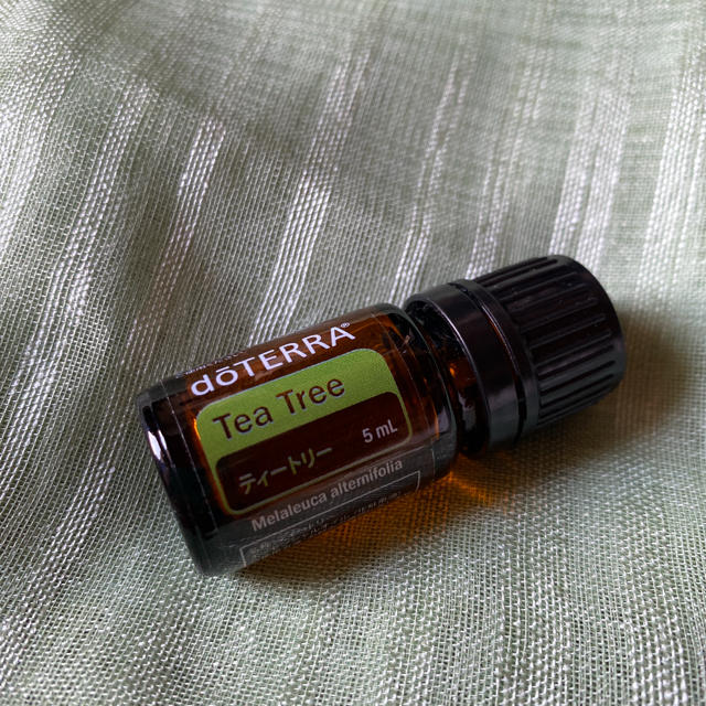 doTERRA ドテラ 5ml ティートリー　ティーツリー コスメ/美容のリラクゼーション(エッセンシャルオイル（精油）)の商品写真