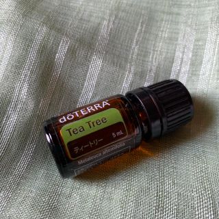 doTERRA ドテラ 5ml ティートリー　ティーツリー(エッセンシャルオイル（精油）)