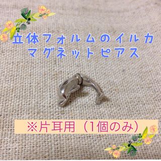 送料込◆イルカのマグネットピアス(イヤリング)