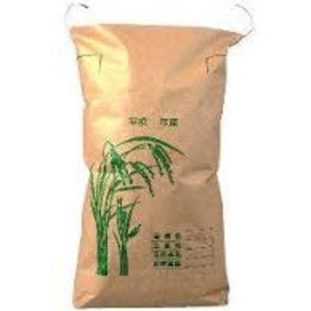 人気新品入荷 (しらす様専用)千葉県産コシヒカリ 令和元年製 100kg分