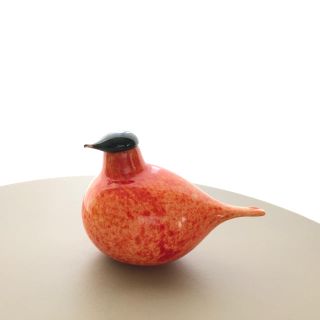 イッタラ(iittala)のRusotintti Store Enso 2005年 企業別注 バード(置物)