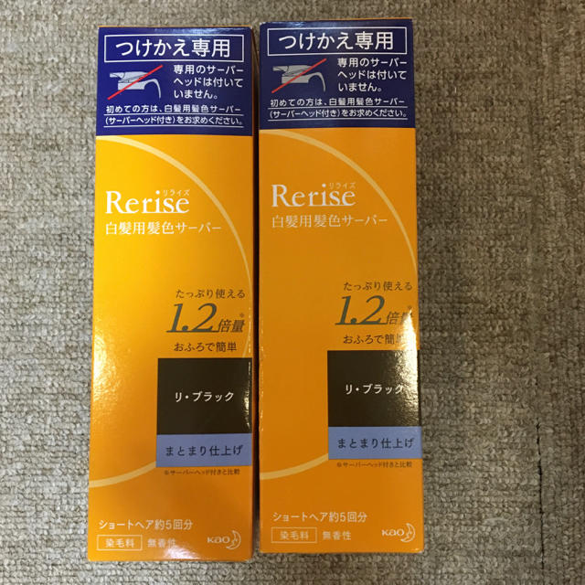 リライズ　リ・ブラック　まとまり仕上げ　つけかえ専用　2本セット