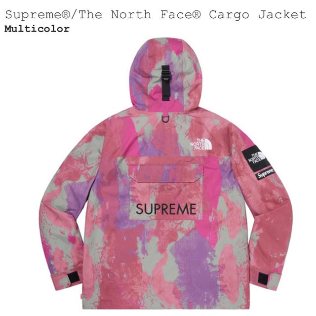 Supreme®/The North Face® Cargo Jacket 1