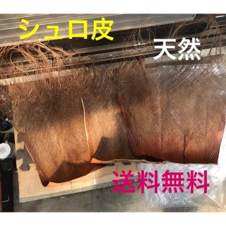 ❣️天然シュロ皮❣️園芸.めだか産卵床‼️3枚(その他)