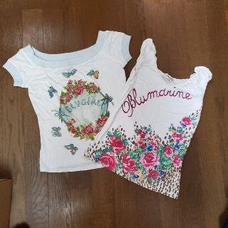 ブルーガール(Blugirl)のBLUGIRL、Blumarine トップス(Tシャツ(半袖/袖なし))