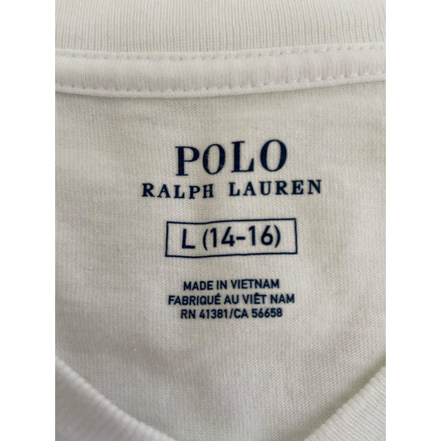 POLO RALPH LAUREN(ポロラルフローレン)のTシャツ ポロラルフローレン  レディースのトップス(Tシャツ(半袖/袖なし))の商品写真