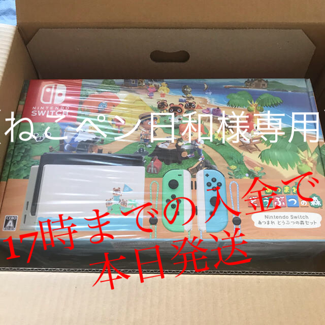 【専用商品】Nintendo Switch あつまれ どうぶつの森セット