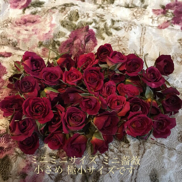 ミニミニ薔薇！ミニバラ ドライフラワー★20輪セット+おまけ2輪付き★小さな薔薇 ハンドメイドのフラワー/ガーデン(ドライフラワー)の商品写真