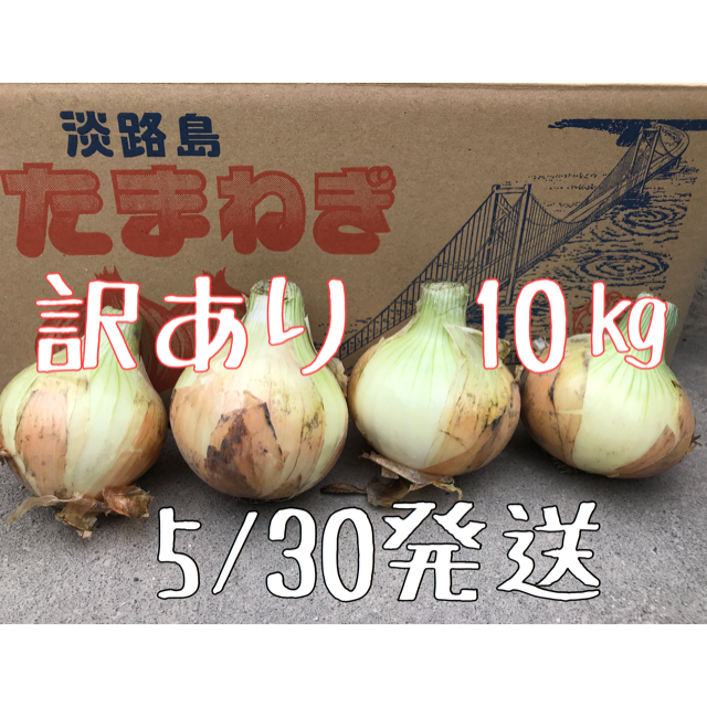 玉ねぎ　淡路島　訳あり10㎏ 食品/飲料/酒の食品(野菜)の商品写真