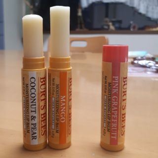 バーツビーズ(BURT'S BEES)のBurt's Bees リップ(リップケア/リップクリーム)