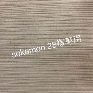 こちらはsokemon 28様専用です。(その他)