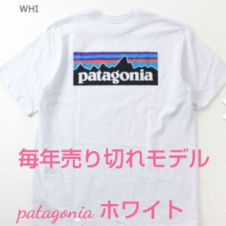 パタゴニア(patagonia)の大人気パタゴニアTシャツXL ホワイト(Tシャツ/カットソー(半袖/袖なし))