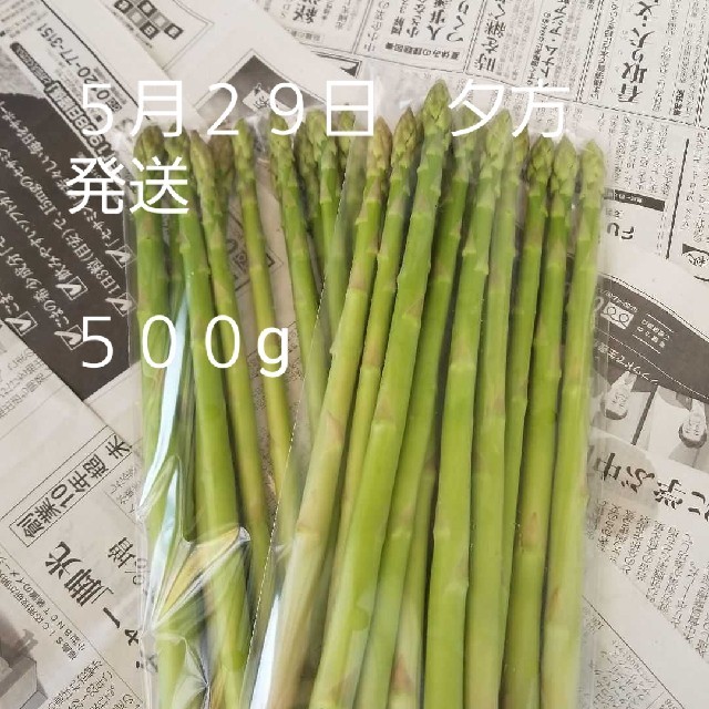 訳あり　アスパラガス　出雲市産　５００g　夕方発送　ネコポス 食品/飲料/酒の食品(野菜)の商品写真