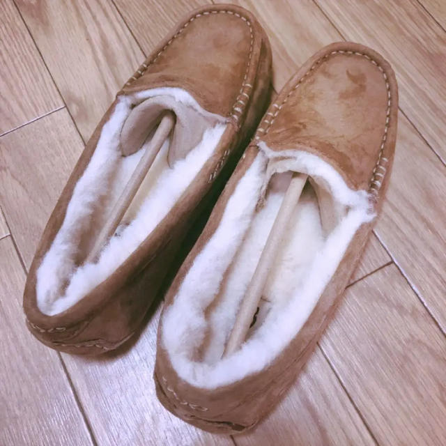 新品 UGG アンスリー 8 25cm