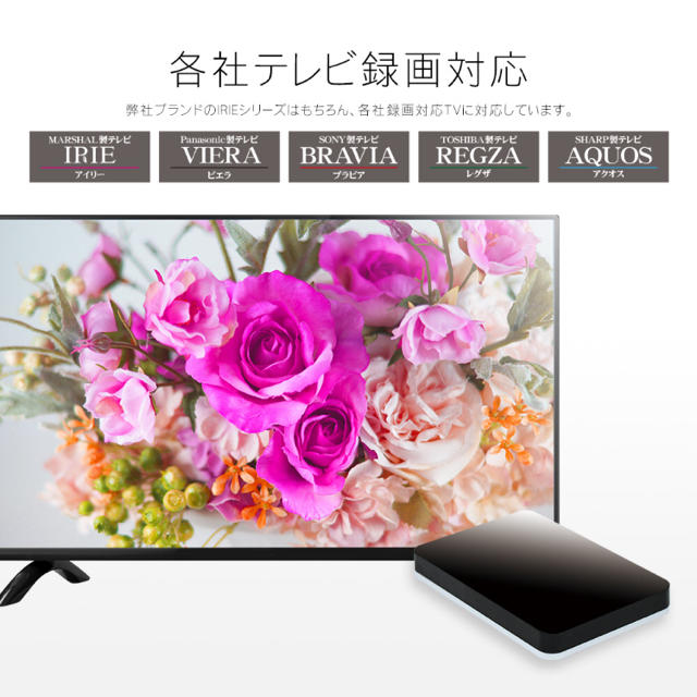 テレビ録画　PC保存　外付けHDD 1tb スマホ/家電/カメラのテレビ/映像機器(その他)の商品写真