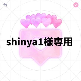 shinya1様専用(その他)