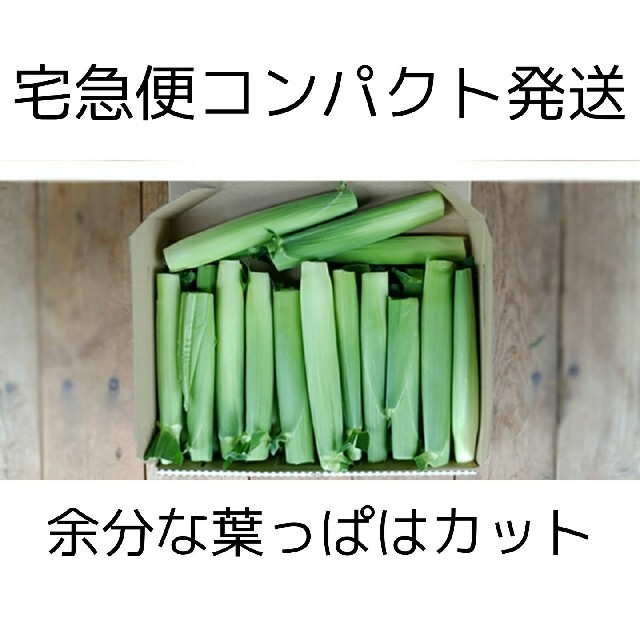 ✳️明日発送0529✨ ベビー 子供 おやつ 野菜 セット ヤングコーン 食品/飲料/酒の食品(野菜)の商品写真