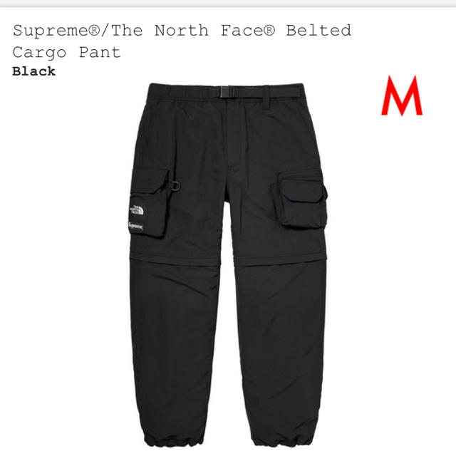 Supreme The North Face Belted Cargo Pant